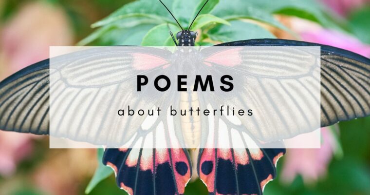 11 Poems About Butterflies That Will Make Your Heart Flutter