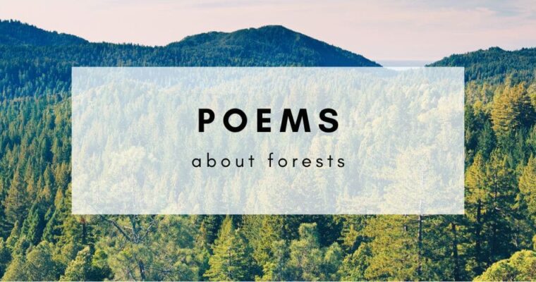 11 Wild and Wonderous Poems About Forests