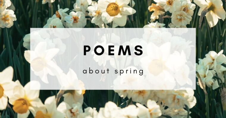 11 Poems About Spring To Bloom Back into Life